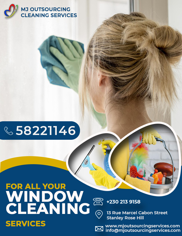 Window Cleaning Potrait